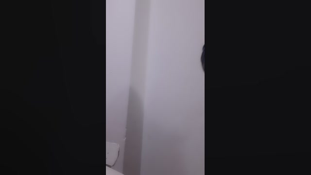 serendipia6