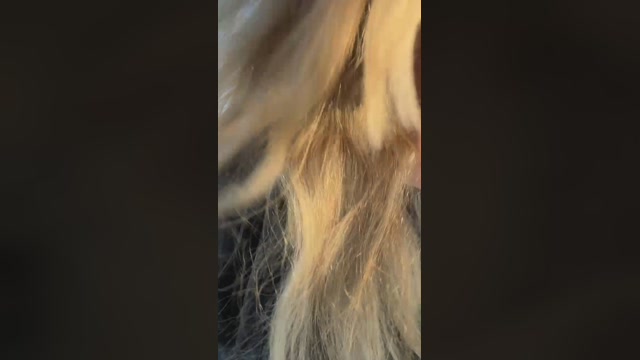 Aurbeaureal 20-02-2023 kinky 