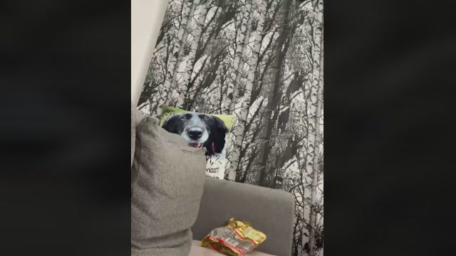 Matteovienna1210  21-02-2023 video gay