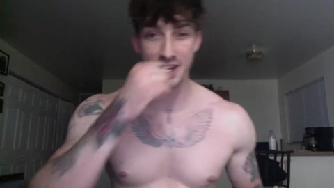 artist022  21-02-2023 video ass