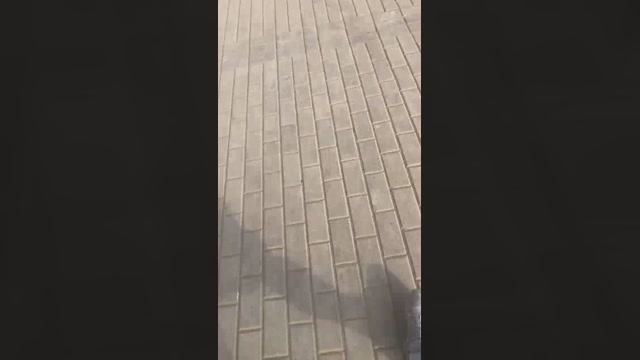 Dapehur  23-02-2023 Recorded Video big