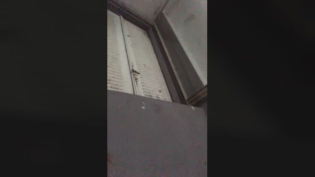 Elmaspijudo327  23-02-2023 Recorded Video bigtoys