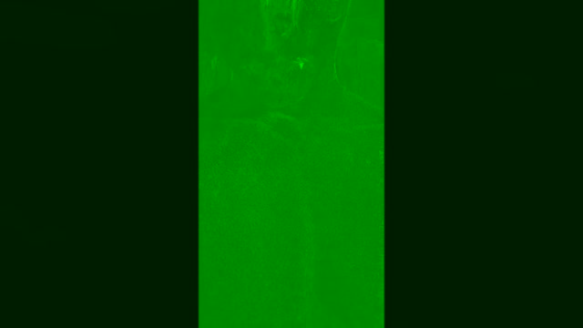 natex300  25-02-2023 Recorded Video gag