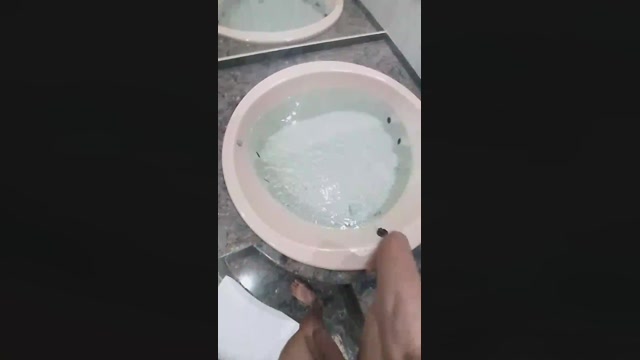 Paidosexo69