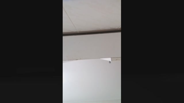 pollon745  26-02-2023 Recorded Video bicurious