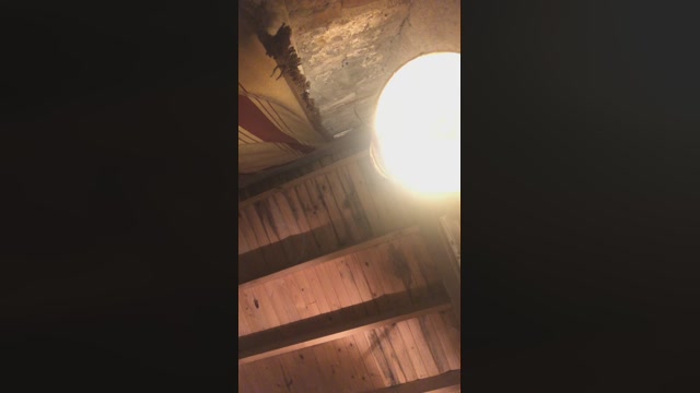 potro2arg  27-02-2023 Recorded Video Video