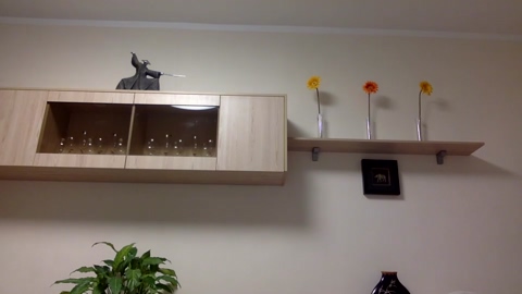 youcan__  27-02-2023 video legs