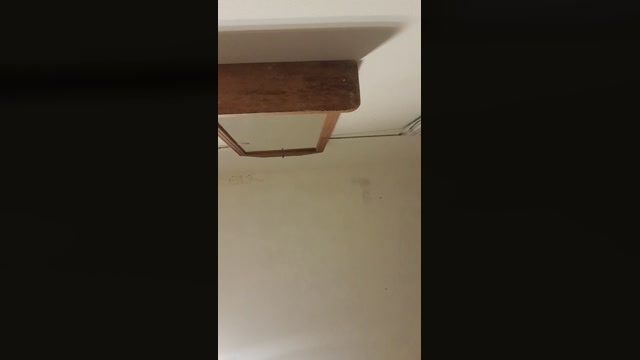 cocodriloxd1