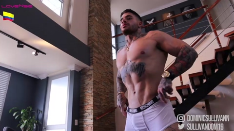 dominic_sullivan1  01-03-2023 video play