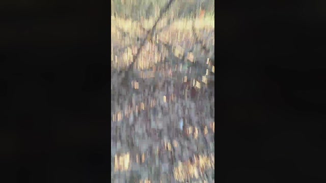 hotbody18y  28-02-2023 Recorded Video oral