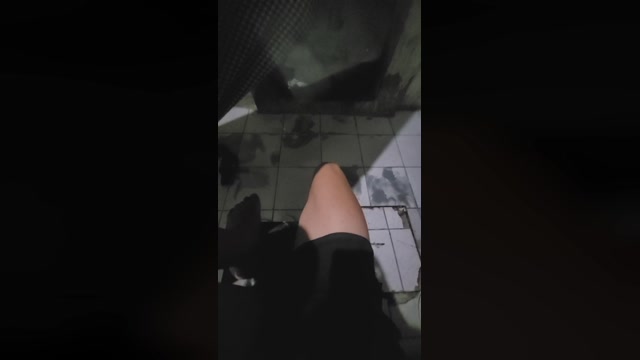 SHOWNOVIN2  01-03-2023 Recorded Video jerking