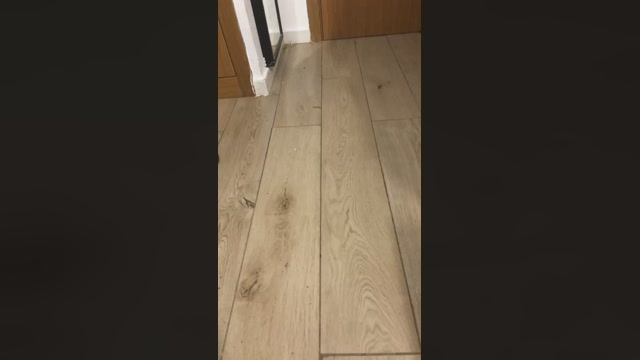 ericperez5  02-03-2023 Recorded Video harddick