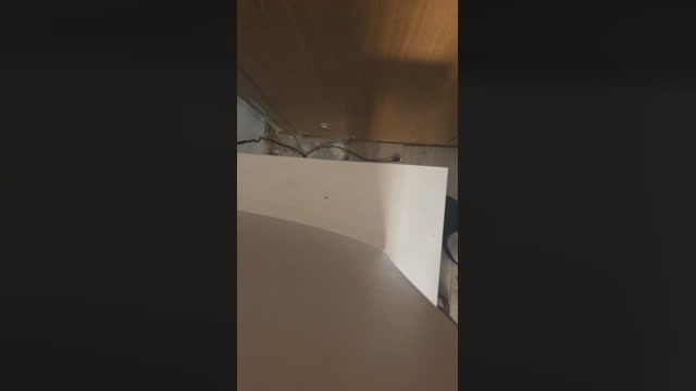 ericperez5  04-03-2023 Recorded Video oral