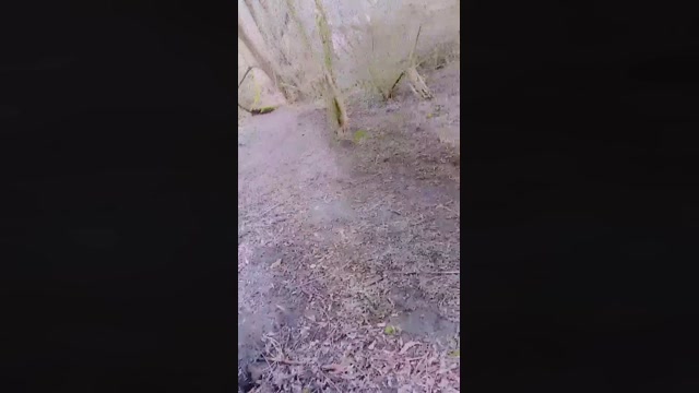 SlutboyBen  05-03-2023 Recorded Video kink