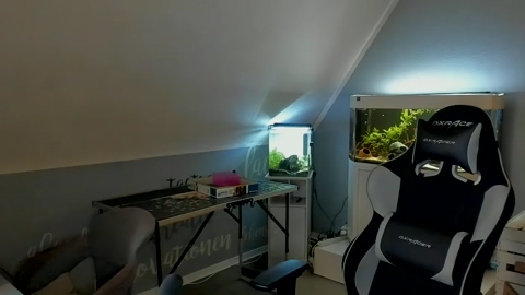 ronhill13  04-03-2023 Recorded Video naked