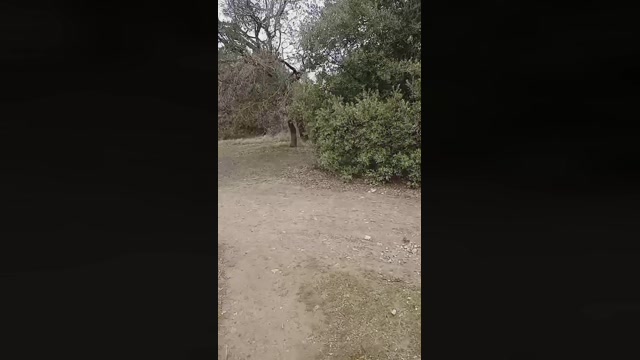 Gastea1  06-03-2023 Recorded Video handsome