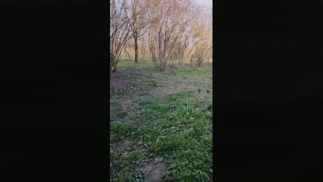 JackFarfallino  05-03-2023 Recorded Video twink