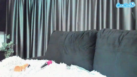 alicexalice CamSoda 05-03-2023 ass Females