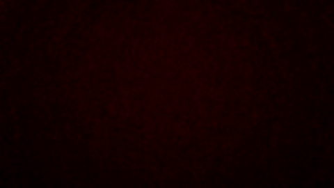 danielirenzi  06-03-2023 Recorded Video love