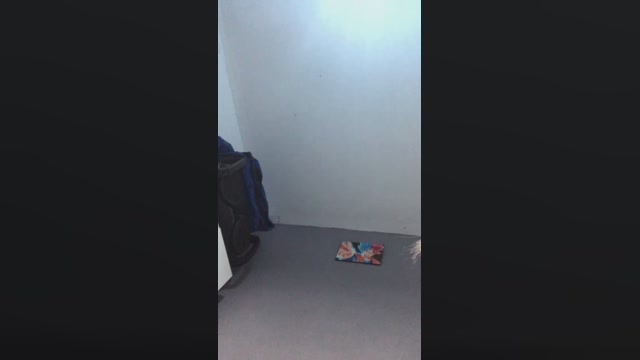 Elmaspijudo327  07-03-2023 Recorded Video gag