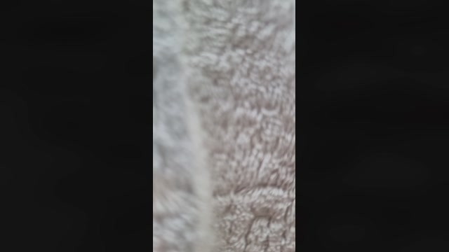 Outdoorgeil1  10-03-2023 Recorded Video striptease