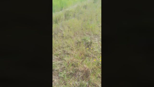 Sexyshark994  10-03-2023 Recorded Video fingers