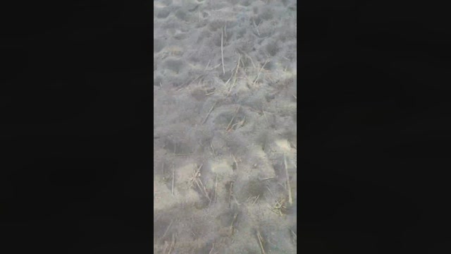 pourtoisexy  10-03-2023 Recorded Video cute