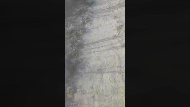 pourtoisexy  10-03-2023 Recorded Video kink