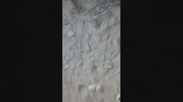pourtoisexy  10-03-2023 Recorded Video yummy