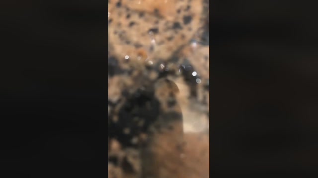 Dapehur  10-03-2023 Recorded Video sexy