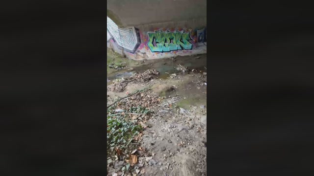 despacitofonsi  11-03-2023 Recorded Video bigload