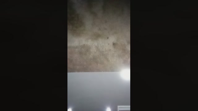Lazzaro25  11-03-2023 Recorded Video fingers