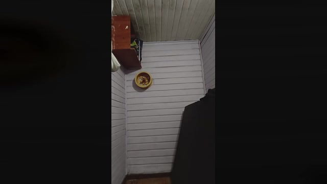 nanosmoke192  11-03-2023 Recorded Video Show