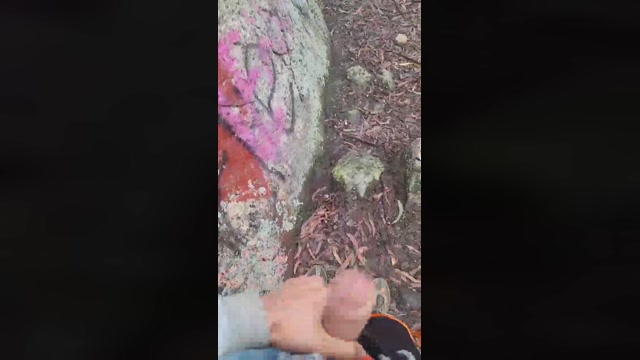 Austin_Mm  13-03-2023 Recorded Video Pretty