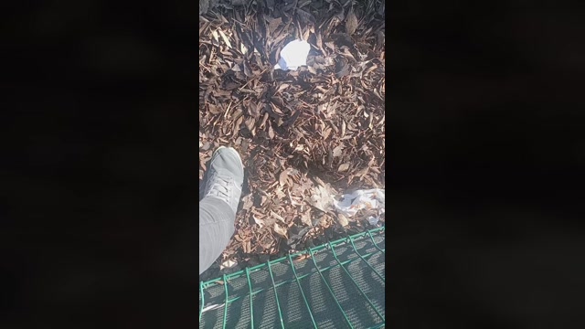 Fragolone4  15-03-2023 Recorded Video bigcock