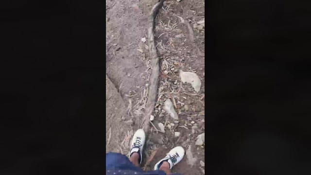 Austin_Mm  15-03-2023 Recorded Video Pretty