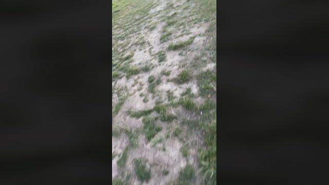 despacitofonsi  15-03-2023 Recorded Video fuckass