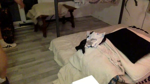 BG33LS  18-03-2023 Recorded Video natural