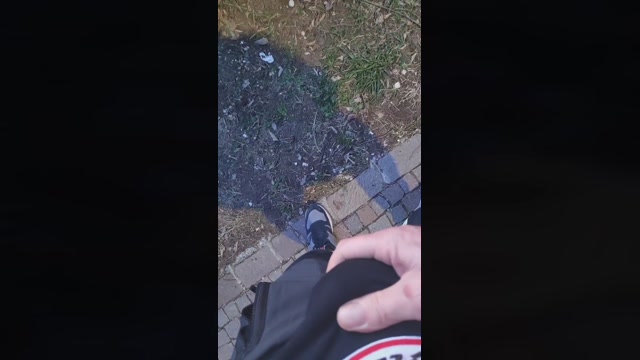 Looper72  17-03-2023 Recorded Video big