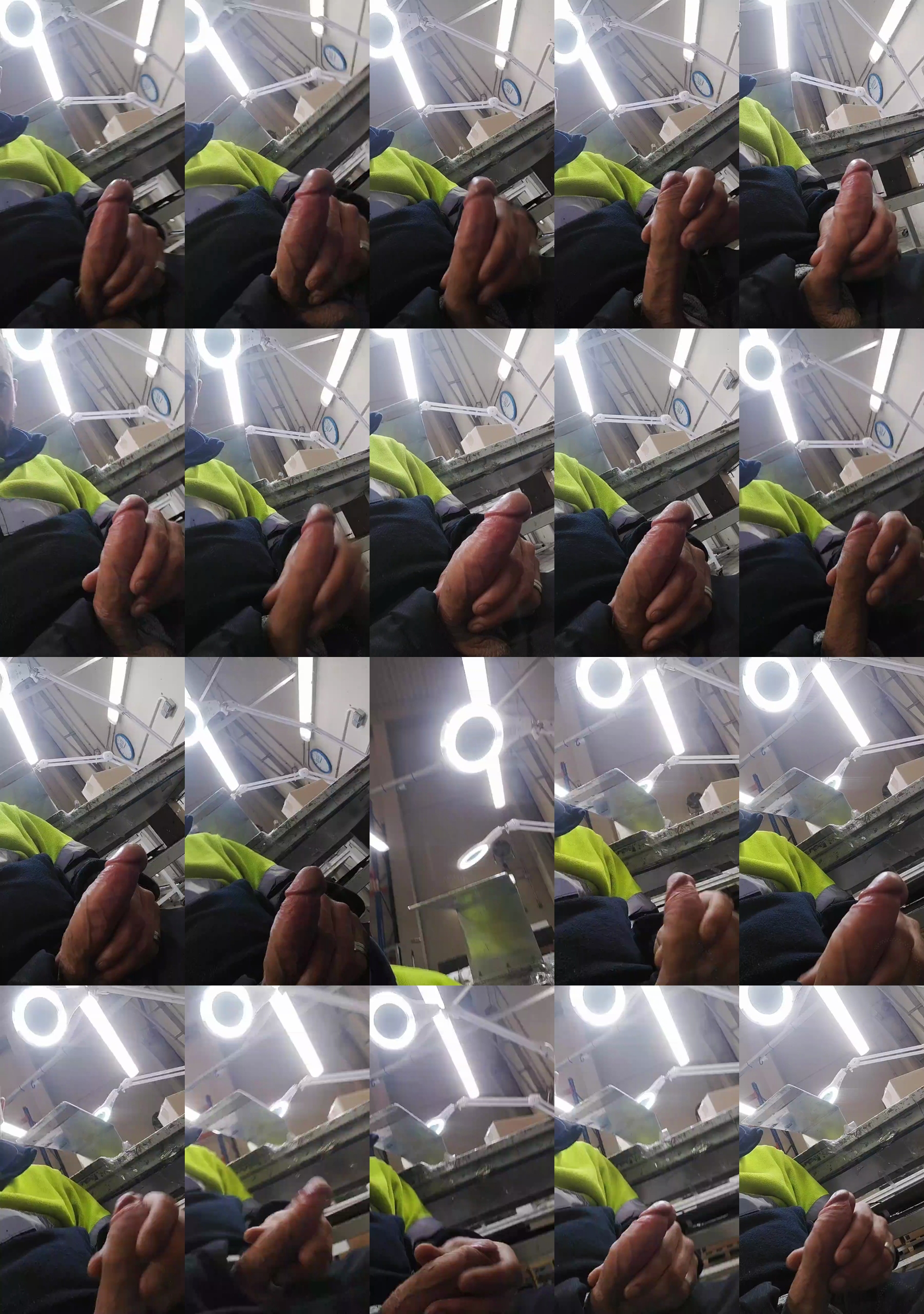 El_lince69  19-03-2023 Recorded Video lick