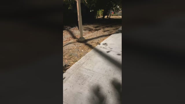 Foxfox07  22-03-2023 Recorded Video big