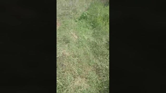 marcoroma57  22-03-2023 Recorded Video ass