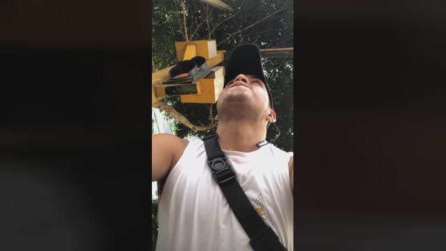 Dapehur  22-03-2023 Recorded Video toy