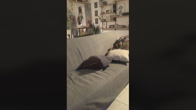 Frankcook20  22-03-2023 Recorded Video spanking