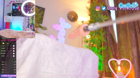 pink-rose 23-03-2023 Cam CamSoda