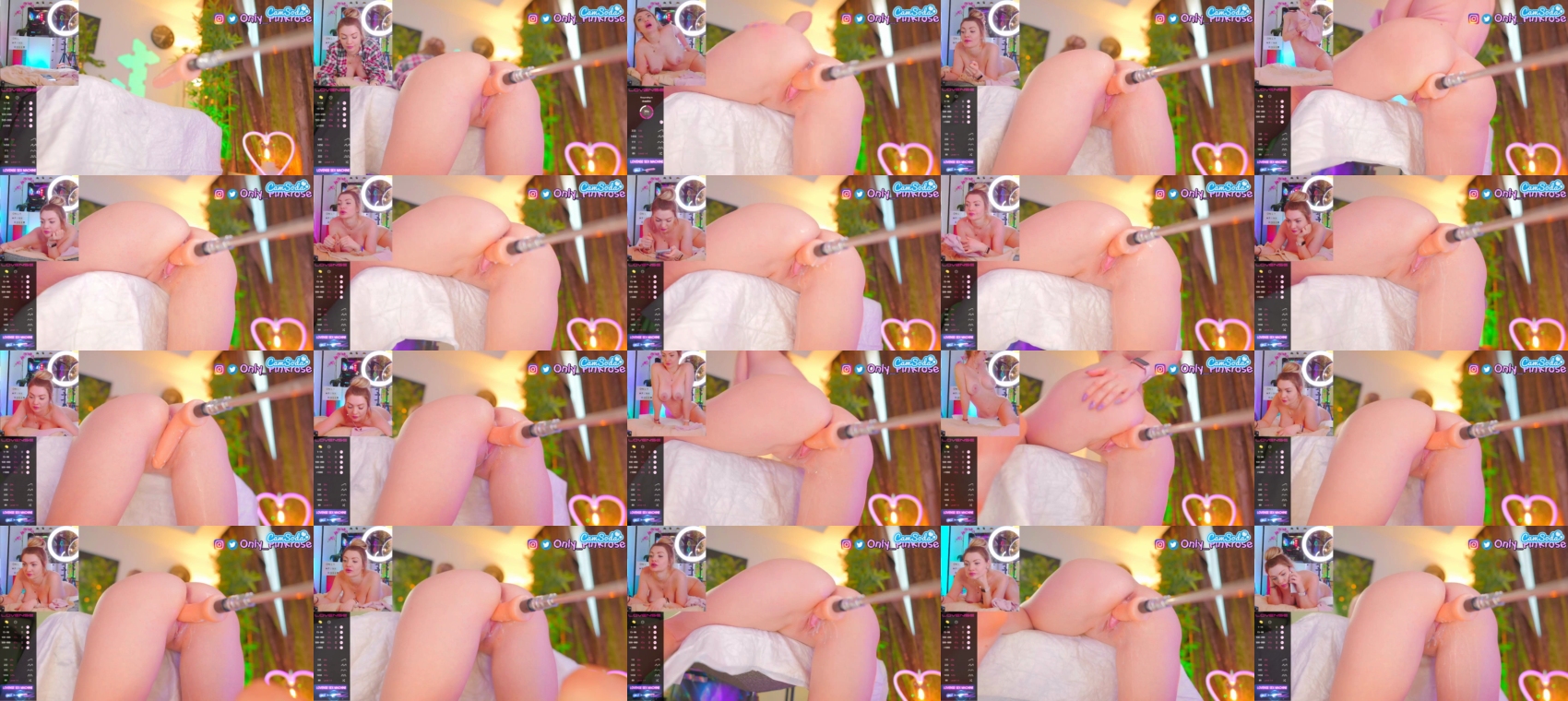 pink-rose 23-03-2023 Cam CamSoda