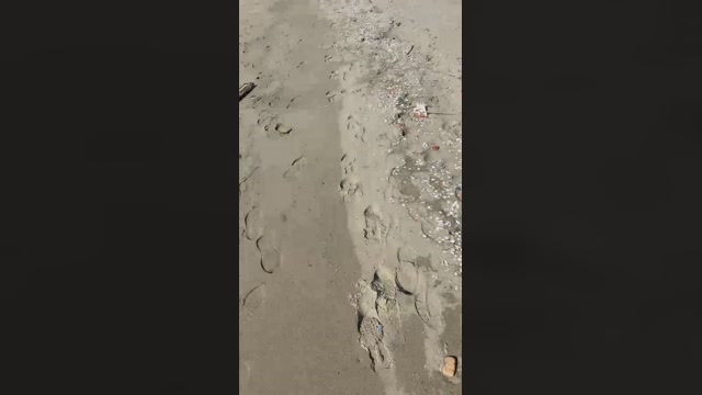 danicloud1  24-03-2023 Recorded Video deep