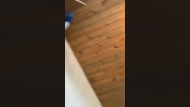 lucasbrunobr  23-03-2023 Recorded Video Recorded