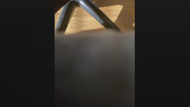 secret_dream415  24-03-2023 video lovense