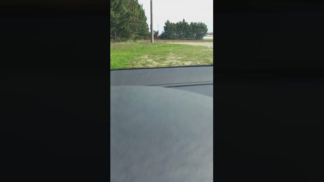 ilian23  26-03-2023 Recorded Video natural